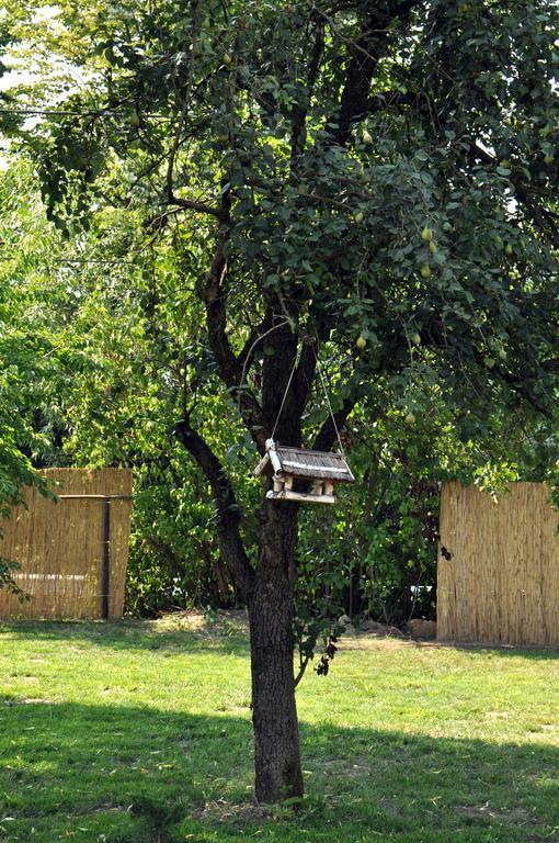 Home Tara Haţeg Zewnętrze zdjęcie